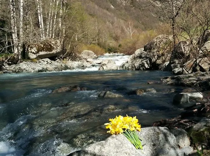 Διαμέρισμα Bachimala *