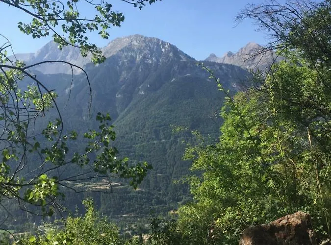 Bachimala