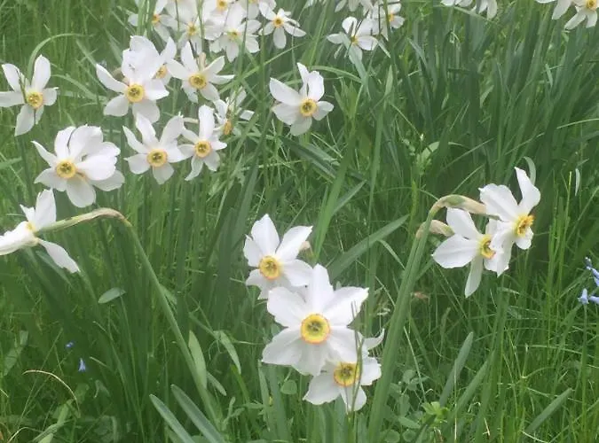 Bachimala Διαμέρισμα Χουέσκα